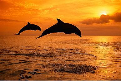 《飙酷车神2》推“MAD第2弹”更新 往后再无新内容